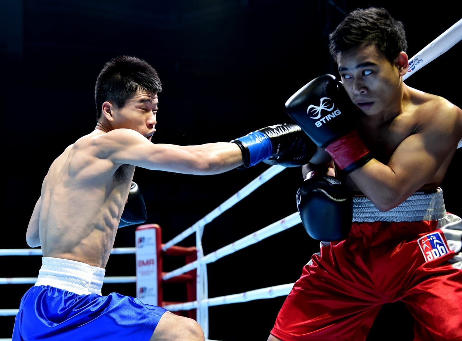 Невинный боксер. Aiba Pro Boxing 2014. Боксер Азенбаев. Коити Вадзима боксер. EUBC бокс.